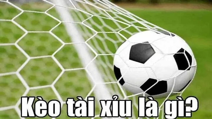 Giới thiệu về Kèo Tài Xỉu trong cá cược bóng đá