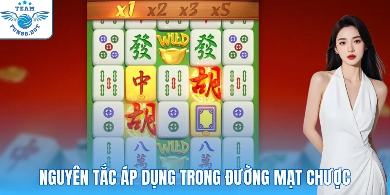 Nguyên tắc chung áp dụng trong 2 phiên bản