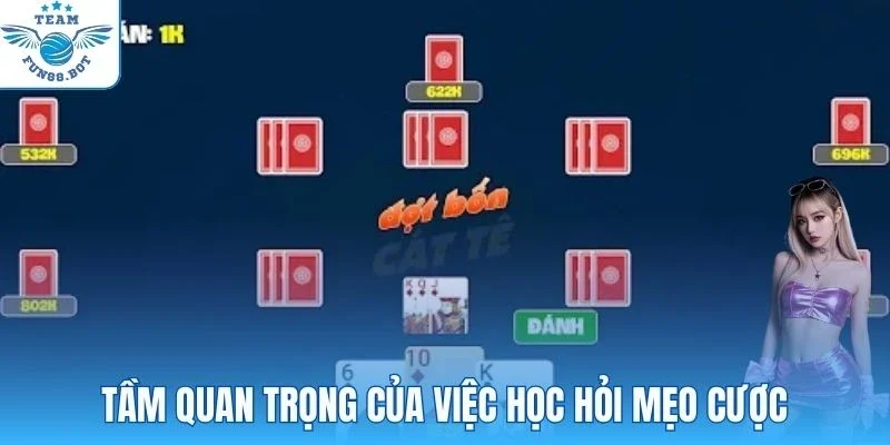 Tầm quan trọng của việc học hỏi mẹo cược
